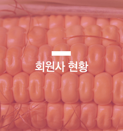 회원사 현황